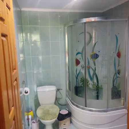 Borgaza Guest house *