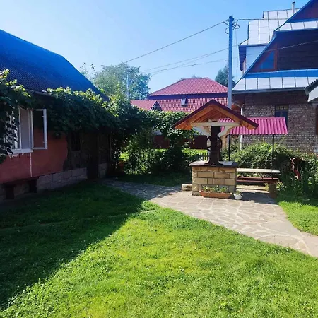 Borgaza Guest house Yaremche