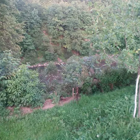 Guest house Borgaza Yaremche