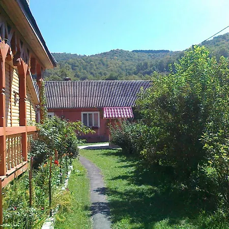 Borgaza Pensionat 3*