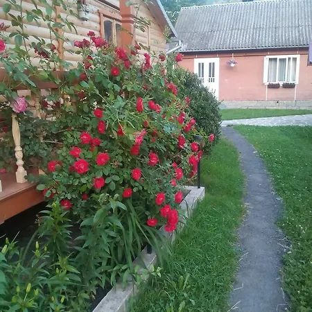 Guest house Borgaza