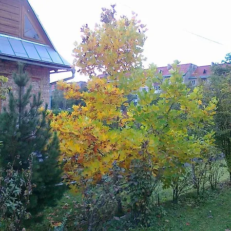 Borgaza Guest house
