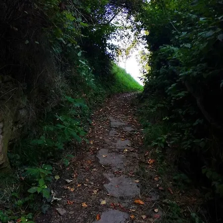 Borgaza Yaremche
