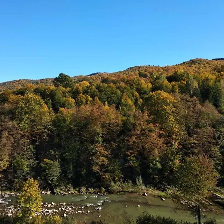 Borgaza Pensionat 3*