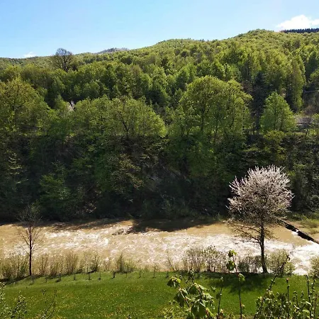 Borgaza Pensionat 3*