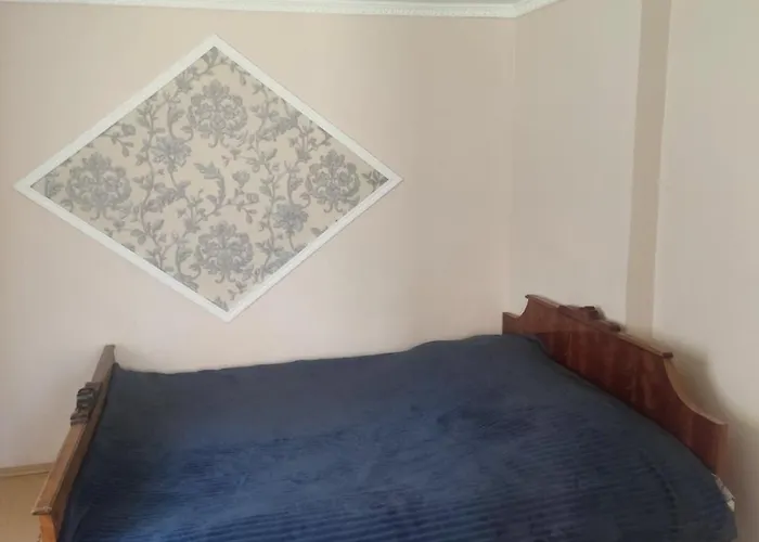 Πανσιόν Borgaza 3*