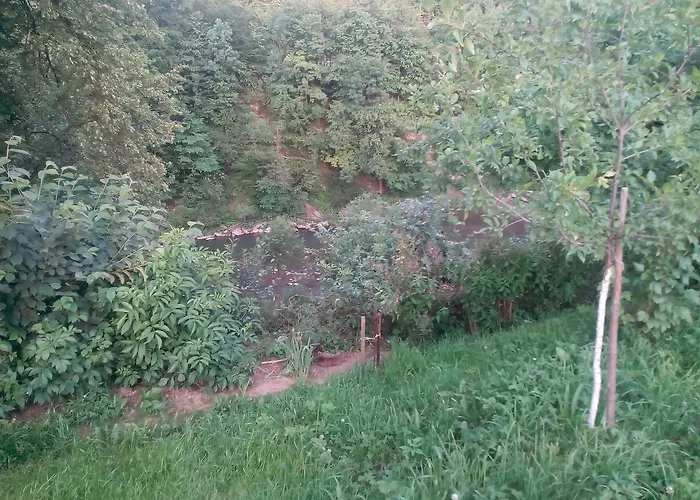 Πανσιόν Borgaza Γιαρέμτσε
