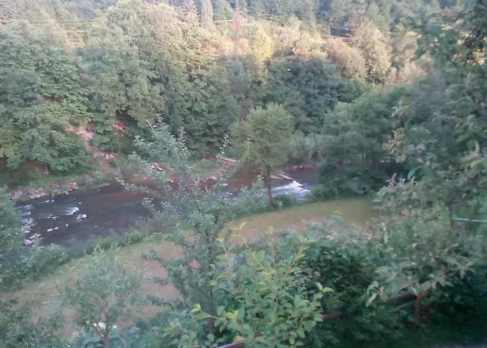 Borgaza